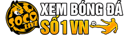 xembong24h.live